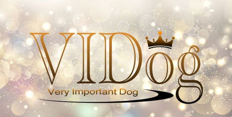 VIDog AB Org 559175-5938