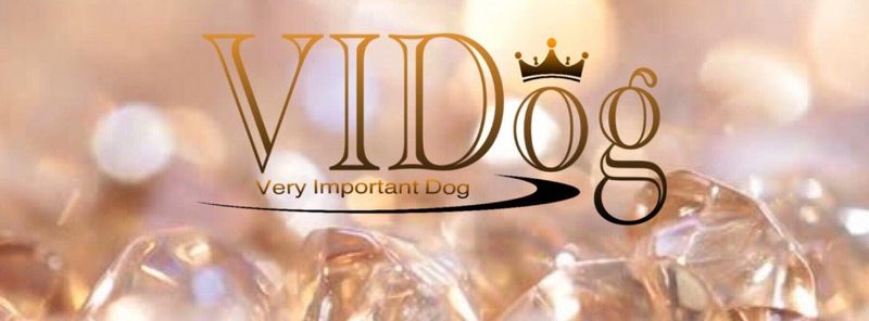 VIDog AB Org 559175-5938