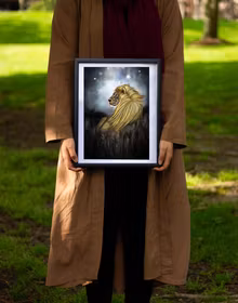 A lions home