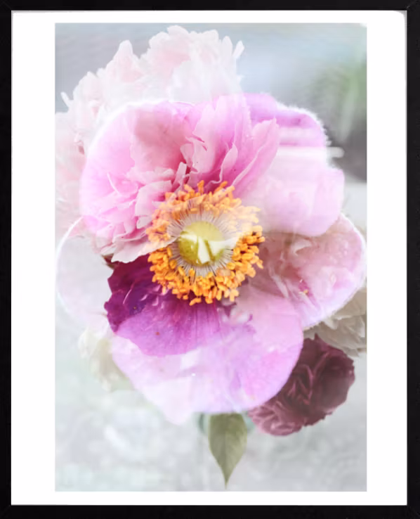 Forgotten flower