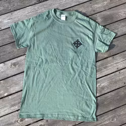T-shirt 231.IK Grön