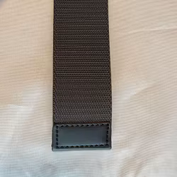 Elastic Belt Wolf Grey