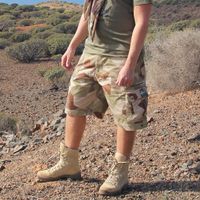Camp Shorts M90K Desert