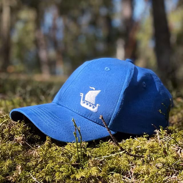 Baseball Cap Blue on the forest floor