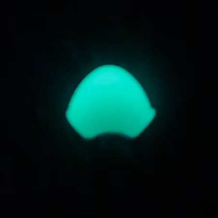 Glow Cord End