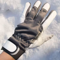 Permafrost Glove