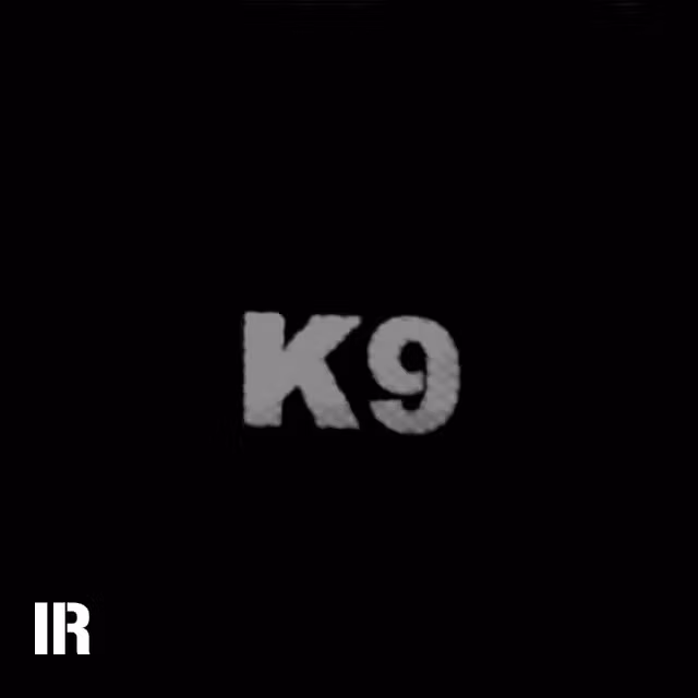 A IR - K9 Red Hook Patch seen through a Infrared camera