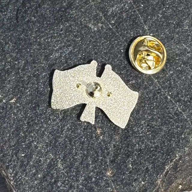 Sweden & EU Flag Pin
