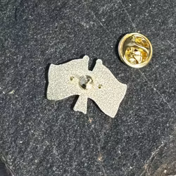Sweden & EU Flag Pin