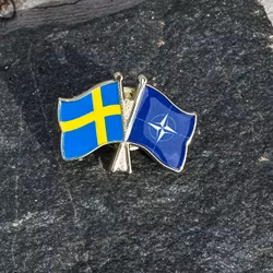Sweden & NATO Flag Pin
