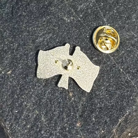 Sweden & Ukraine Flag Pin