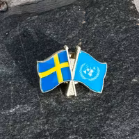 Sweden & United Nations Flag Pin