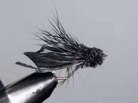 Black Daves Cricket