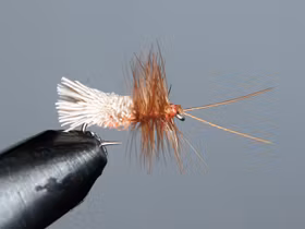 G &H Sedge
