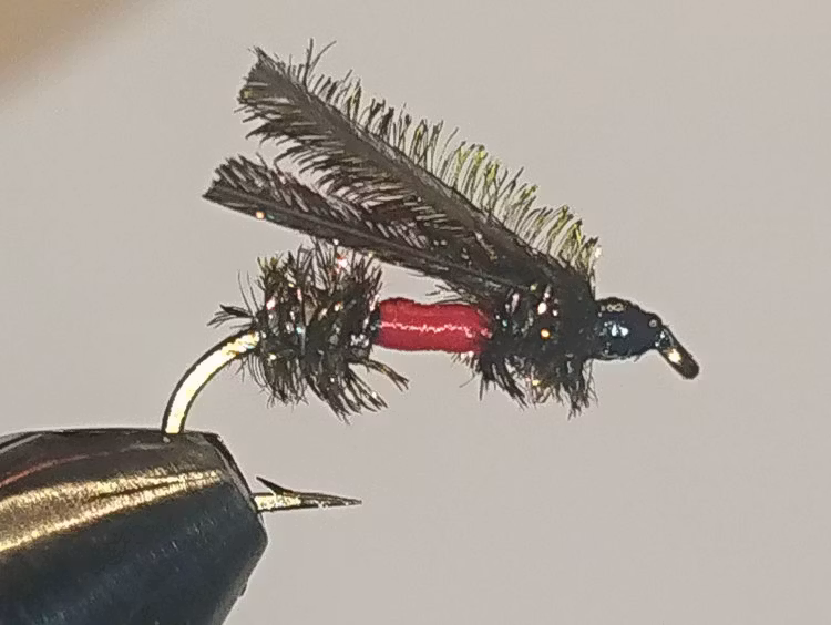 Råstoflugan