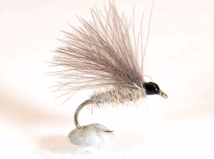F Fly Hare´s Ear