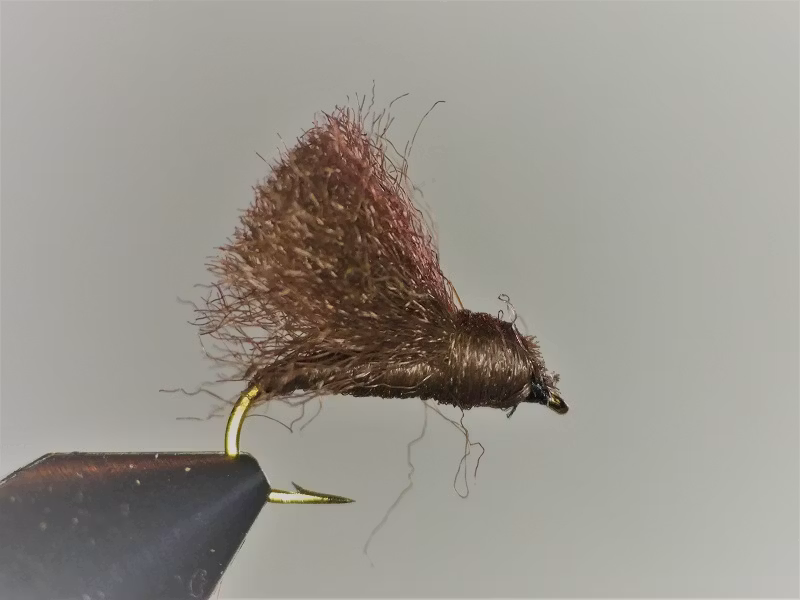 Rackelhane (rostbrun och mörkbrun)