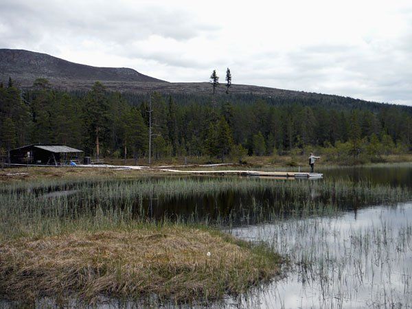 Fiskekort Gränjestjärn