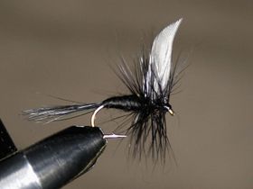 Black gnat (torr och våt)