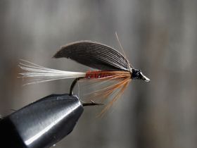 Red spinner