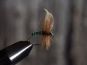 Green Peter