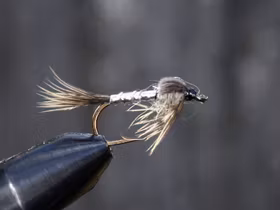 March brown silver nymf