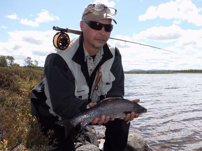 Fjädermyggpuppa