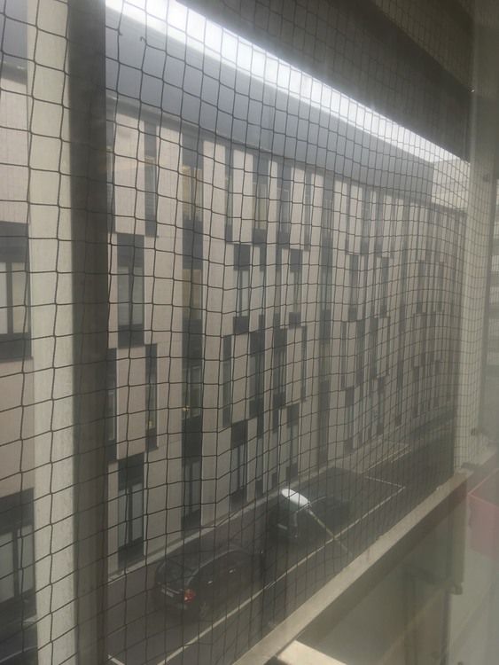 Rikstäckande hjälp mot fåglar,skadedjur. Offert