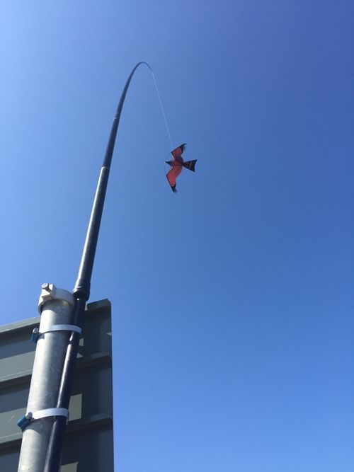 5 meter Fågelskrämma