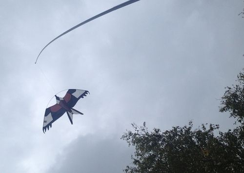 7 meter Fågelskrämma