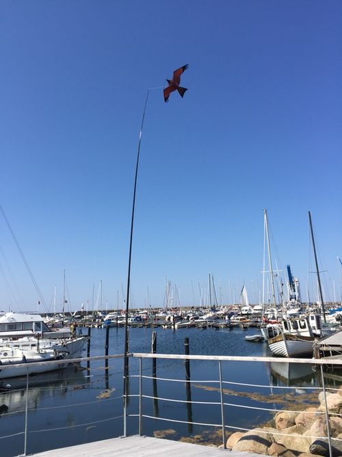 7 meter Fågelskrämma