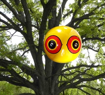 1 st 3D Boll