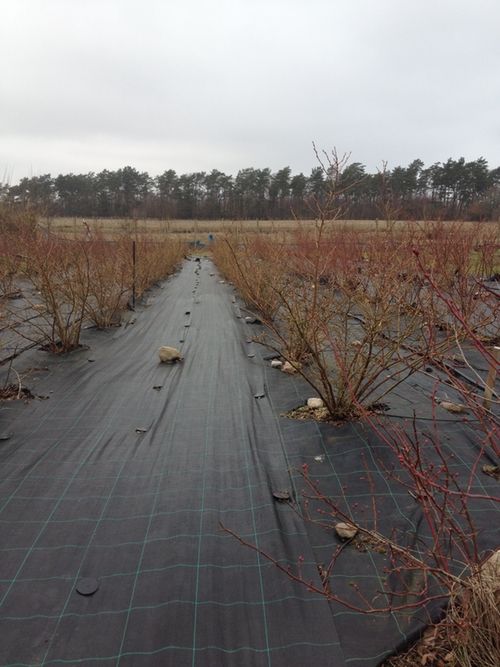 MARKTÄCKVÄV 100 meter x 2,1  m