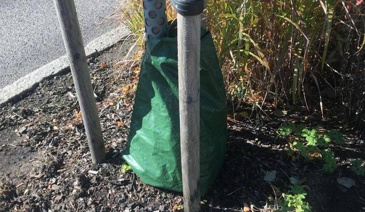 5-pack Bevattningssäck 75 liter Fraktfritt!
