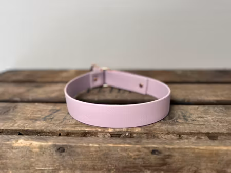 HALVSTRYP BioThane® halsband - 25mm