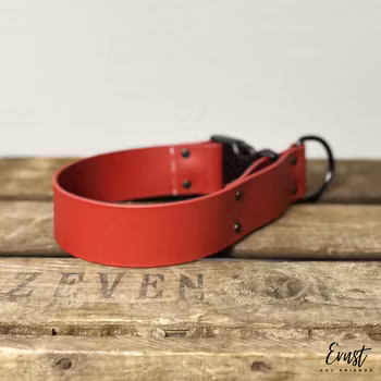 HALVSTRYP med knäppe BioThane® halsband - 38mm