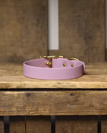 Halsband, ställbart, i HEXA - 25mm