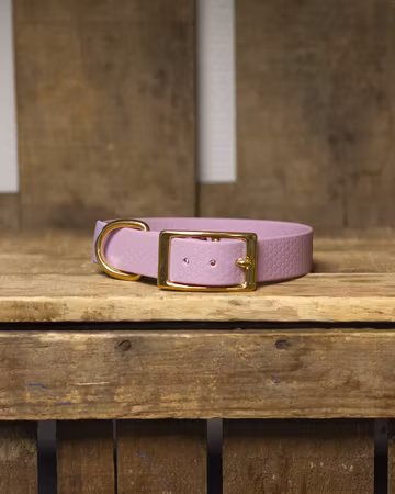 Halsband, ställbart, i HEXA - 25mm