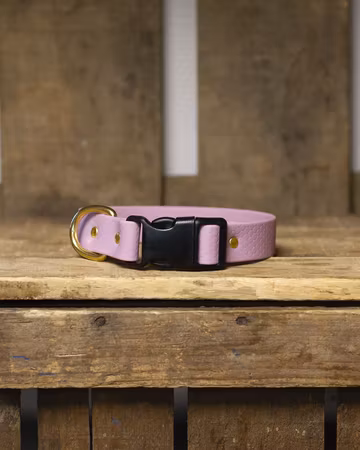 Halsband, fast, i HEXA - 25mm