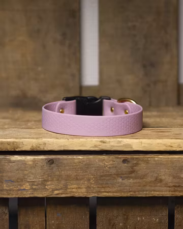 Halsband, fast, i HEXA - 25mm