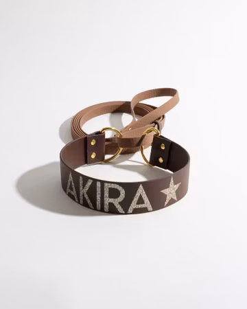 Allt-i-ett koppel | BioThane® & Hexa