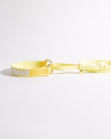 Allt-i-ett koppel | BioThane® | Helglitter