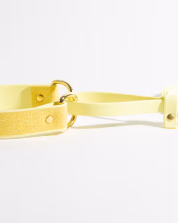 Allt-i-ett koppel | BioThane® | Helglitter