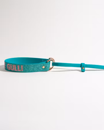 Allt-i-ett koppel | BioThane® & Hexa | Helglitter