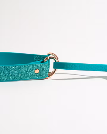 Allt-i-ett koppel | BioThane® & Hexa | Helglitter