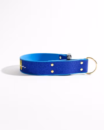 BioThane® halsband – glittrigt