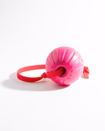 Belöningsboll stor med Hexa