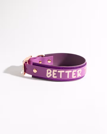 BioThane® halsband ställbart – Deluxe