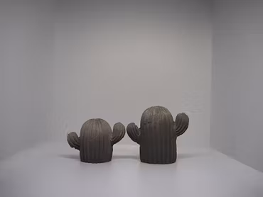 Kelly kaktus 2-pack