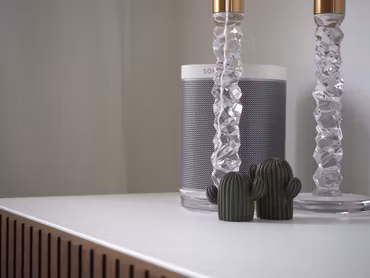 Kelly kaktus 2-pack